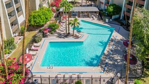 A resort with a large rectangular pool surrounded by palm trees and lounge chairs. - Maya Motel (Scottsdale)
