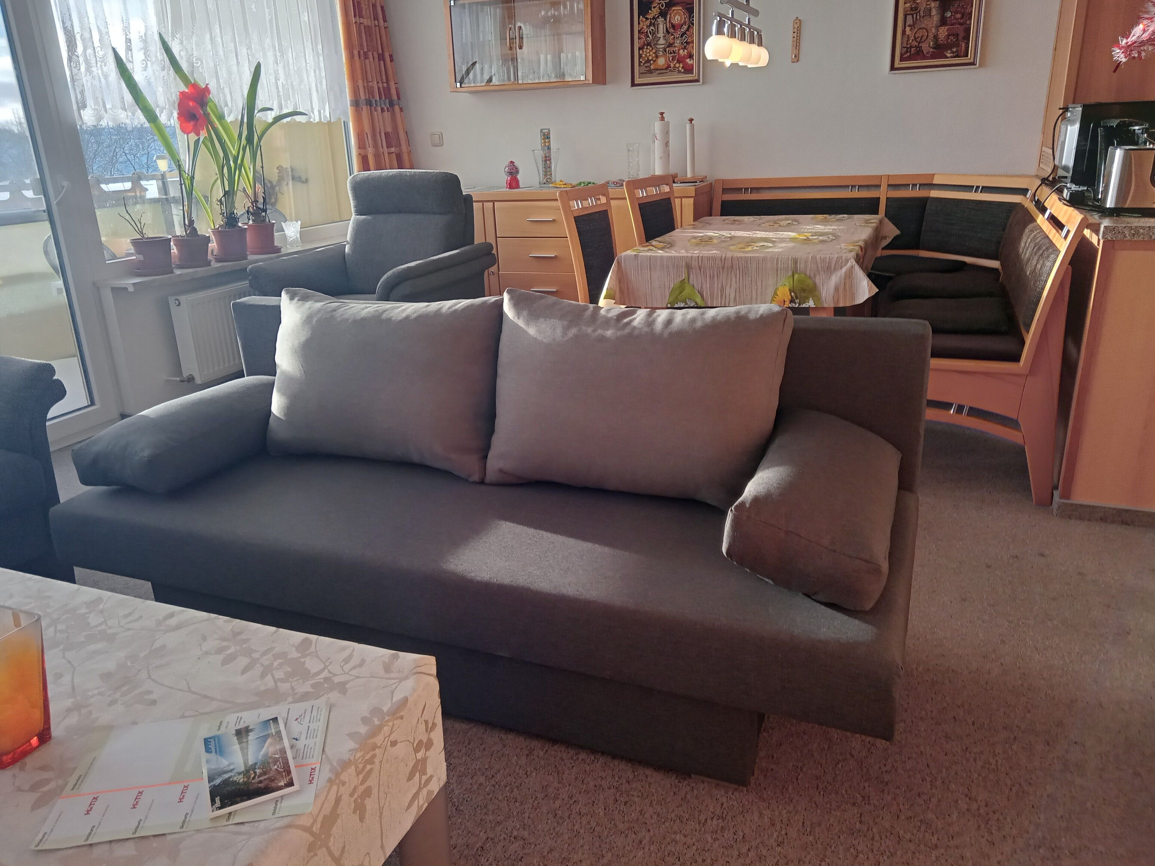 Een woonkamer met een bank, een eettafel, stoelen, een radiator, een raam met gordijnen, en een potplant.