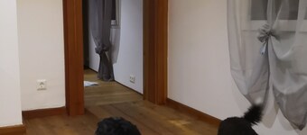 Maison de vacances "Haus Am Fluss" avec terrasse privée, jardin privé et Wi-Fi