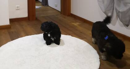 Ferienhaus "Haus Am Fluss" mit privater Terrasse, privatem Garten und WLAN