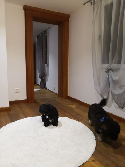 Vacation Home "Haus Am Fluss" with Private Terrace, Private Garden & Wi-Fi