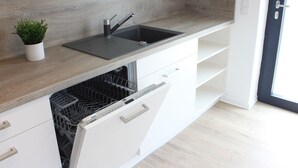A modern kitchen with a built-in dishwasher, a sink, and a potted plant. - Flat 3, 54 sqm, 1 bedroom with double bed and 1 sofa bed, max. 4 persons (Burladingen)