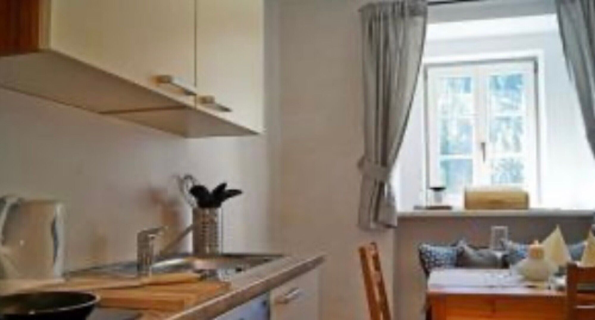 Fridge, stovetop, dishwasher, coffee/tea maker