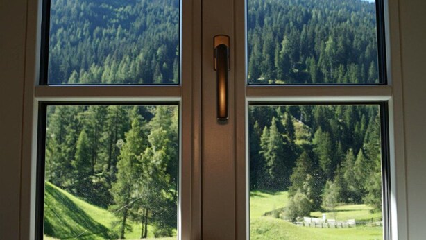 A window with a view of a forested hillside.