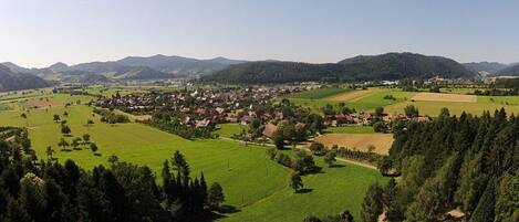 Un paisaje rural con un pequeño pueblo, campos verdes y zonas boscosas.