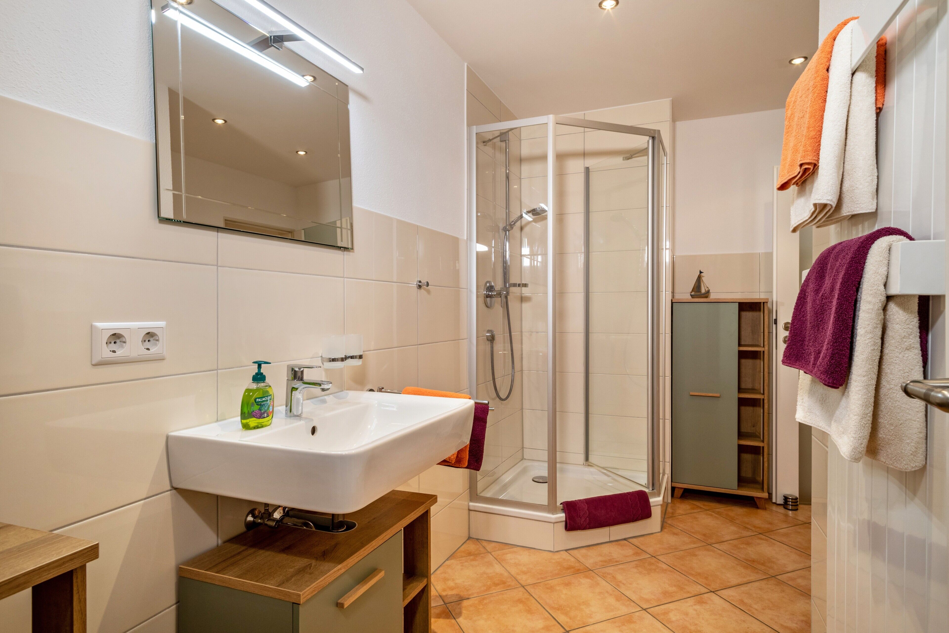 Shower, hair dryer, towels