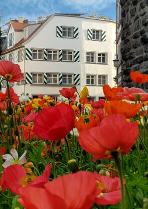 A building with a white facade and green window frames, surrounded by a field of poppies.