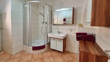 Shower, hair dryer, towels