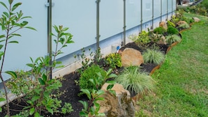 A landscaped garden with various plants and a metal fence.