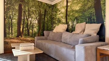 TV, fireplace, DVD player, stereo