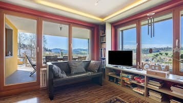 Télévision, cheminée, lecteur de DVD, chaßne hi-fi