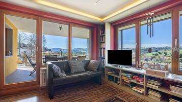 Televisio, takka, DVD-soitin, stereot