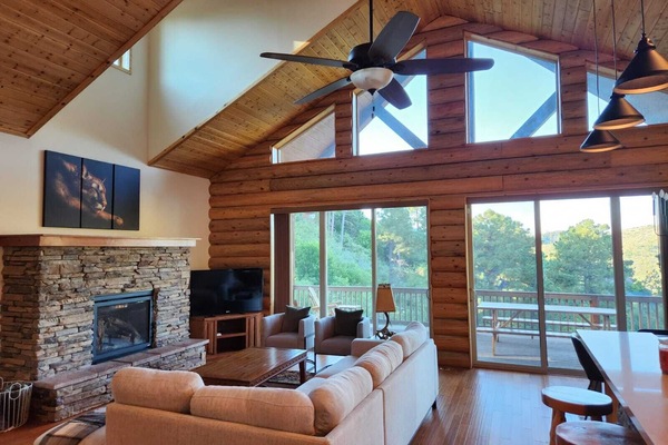 Smart TV, chimenea, videojuegos y libros