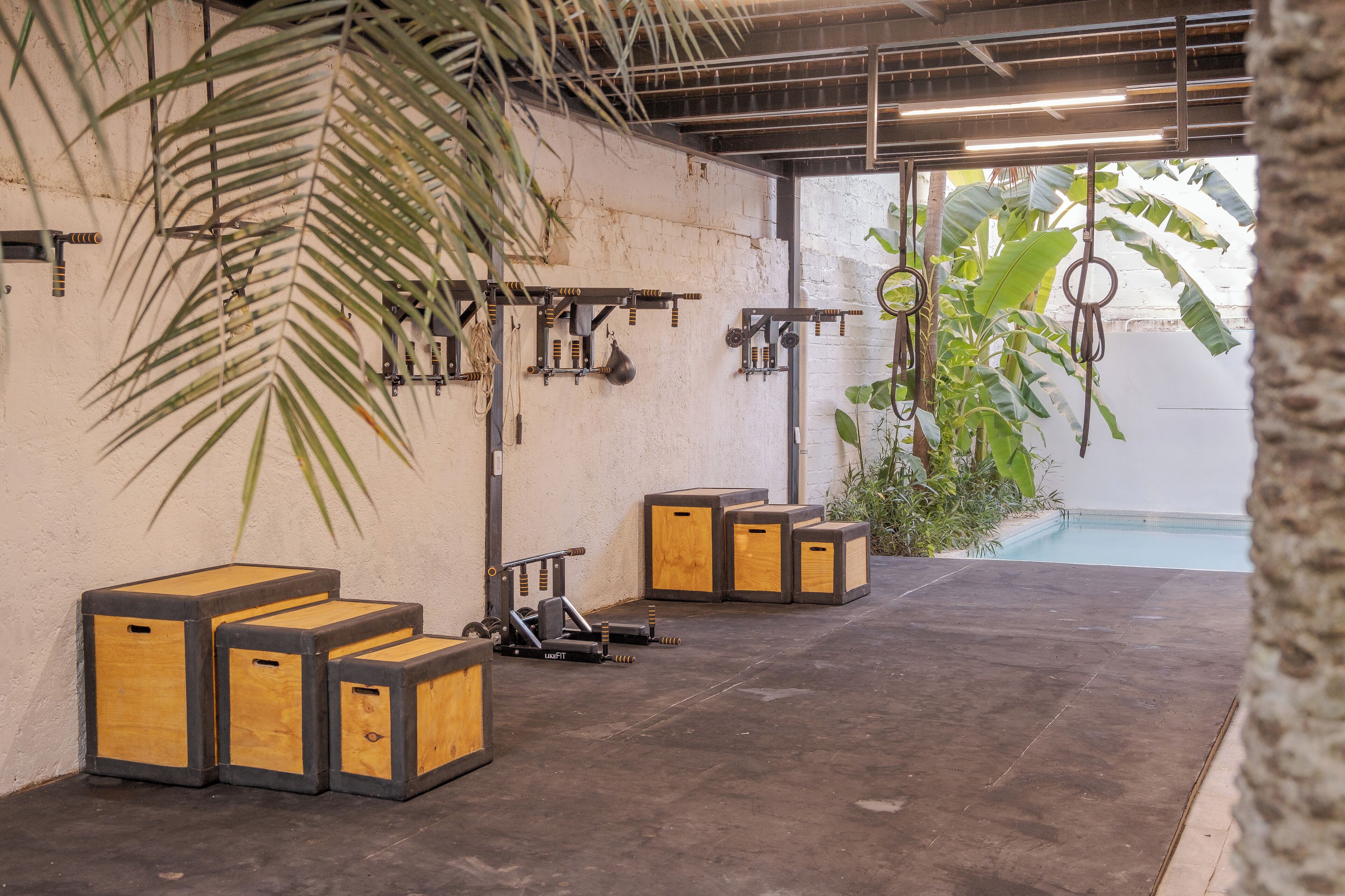 Un gimnasio con cajas de madera, equipamiento de ejercicio y una planta grande.
