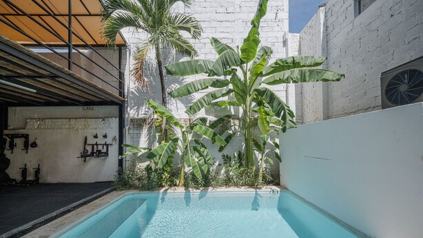 A swimming pool with a white wall and a palm tree in the background. - El Refugio de Sayulita - Solo Adultos (Sayulita)