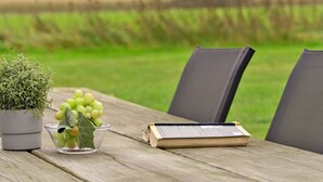 Une table en bois, sur laquelle se trouvent un pot de fleurs, un bol de raisins et un livre.