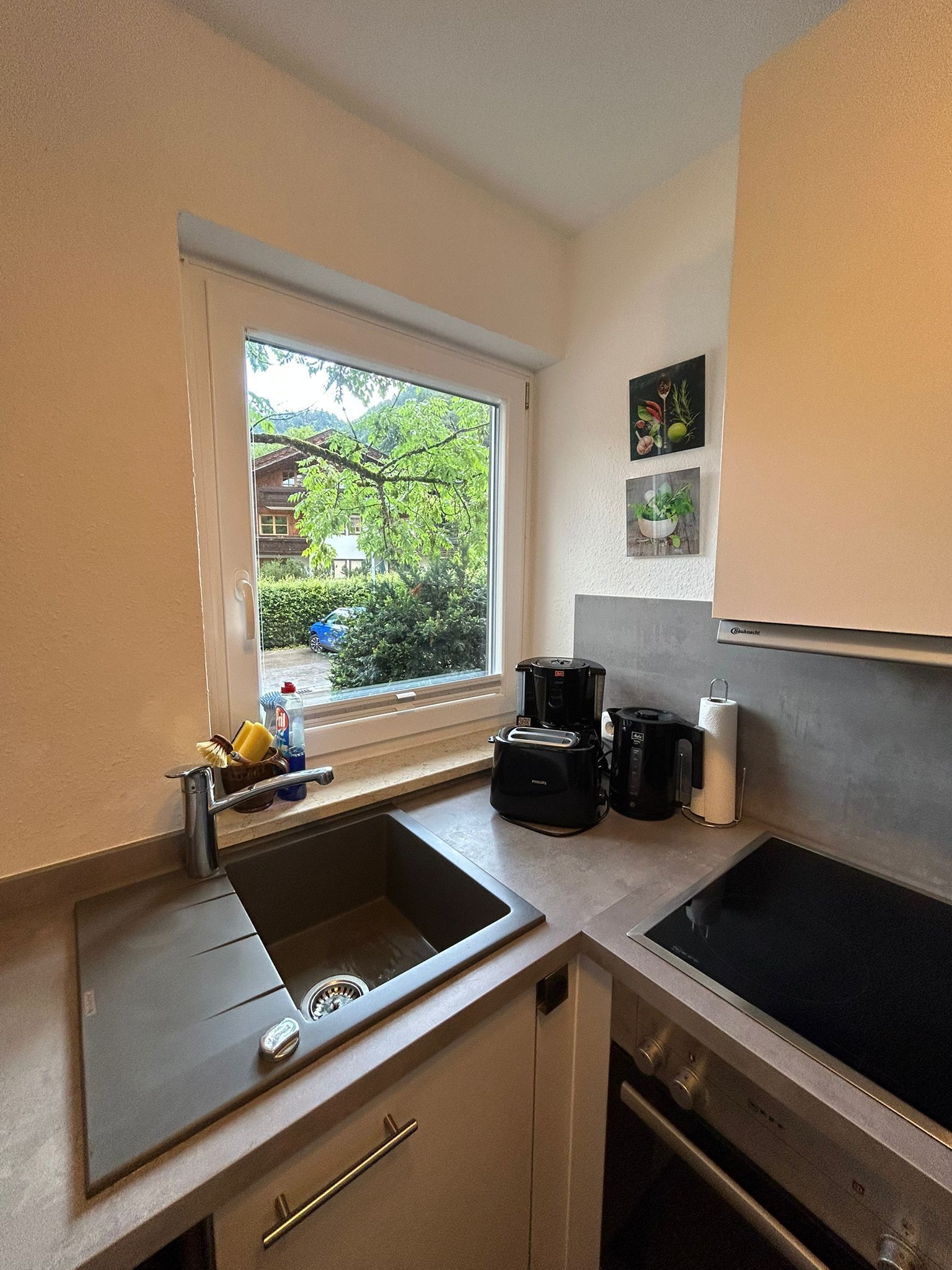 Kühlschrank, Ofen, Herdplatte, Geschirrspüler