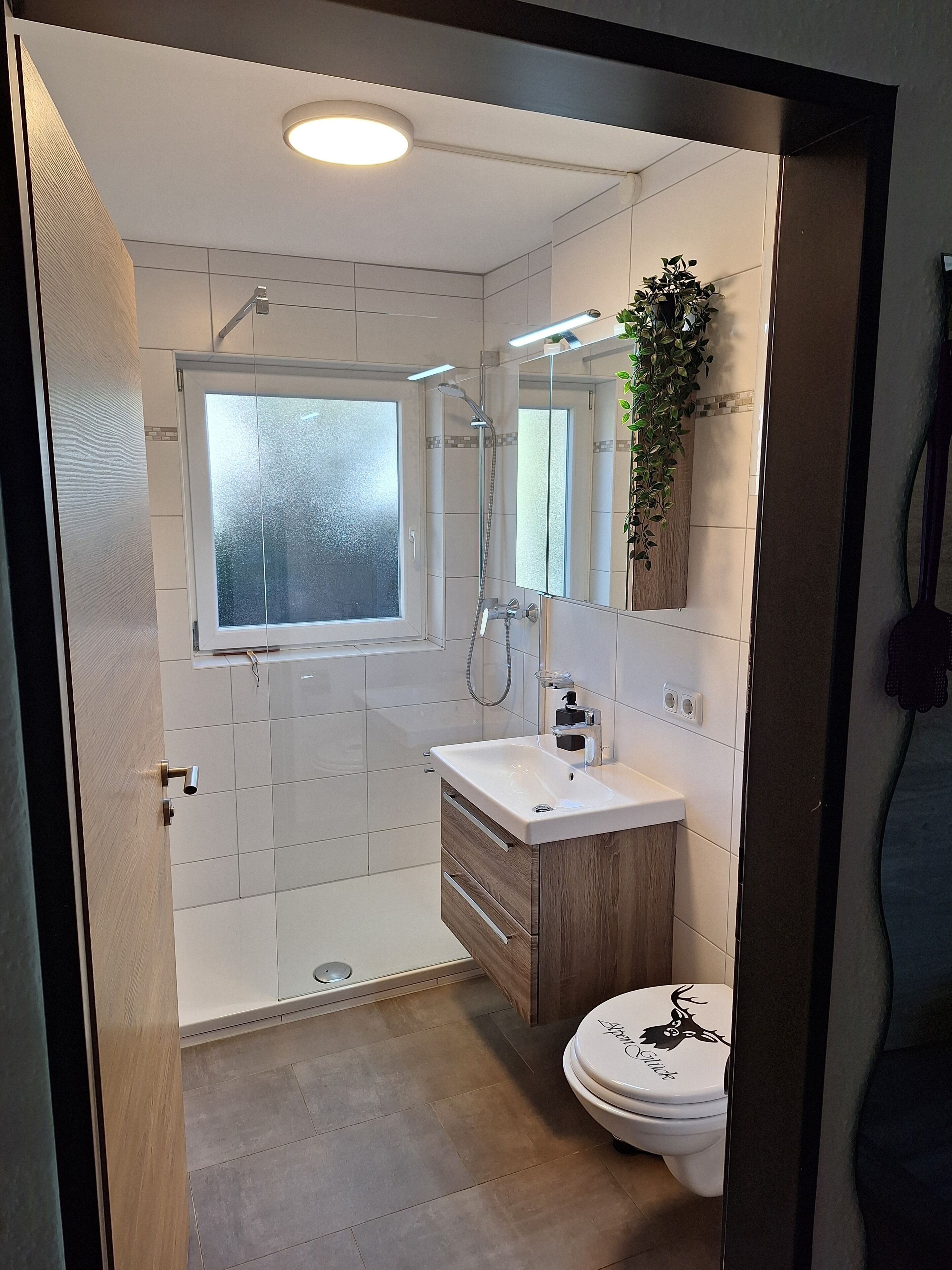 Shower, hair dryer, soap, toilet paper