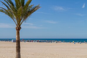 Ein Strand mit einer Palme, blauem Himmel und ruhiger See.