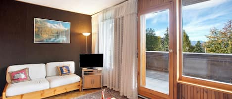 Fernseher