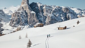 Una montagna innevata con case di legno e cielo sereno.