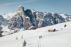 Sneeuw- en skisporten