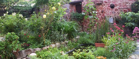 Terrein van de accommodatie