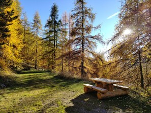 Outdoor dining - Holiday Apartment "Gte T3 Le Balarino - Mercantour1" with Mountain View, Shared Garden & Wi-Fi (Belvédère)