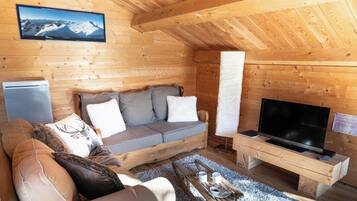 TV, video game console