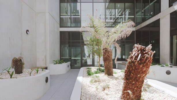 A modern outdoor area with planters containing various plants and decorative elements.