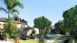 Un espace aménagé au bord de la piscine, avec un palmier, des chaises longues et un ciel d’un bleu limpide.