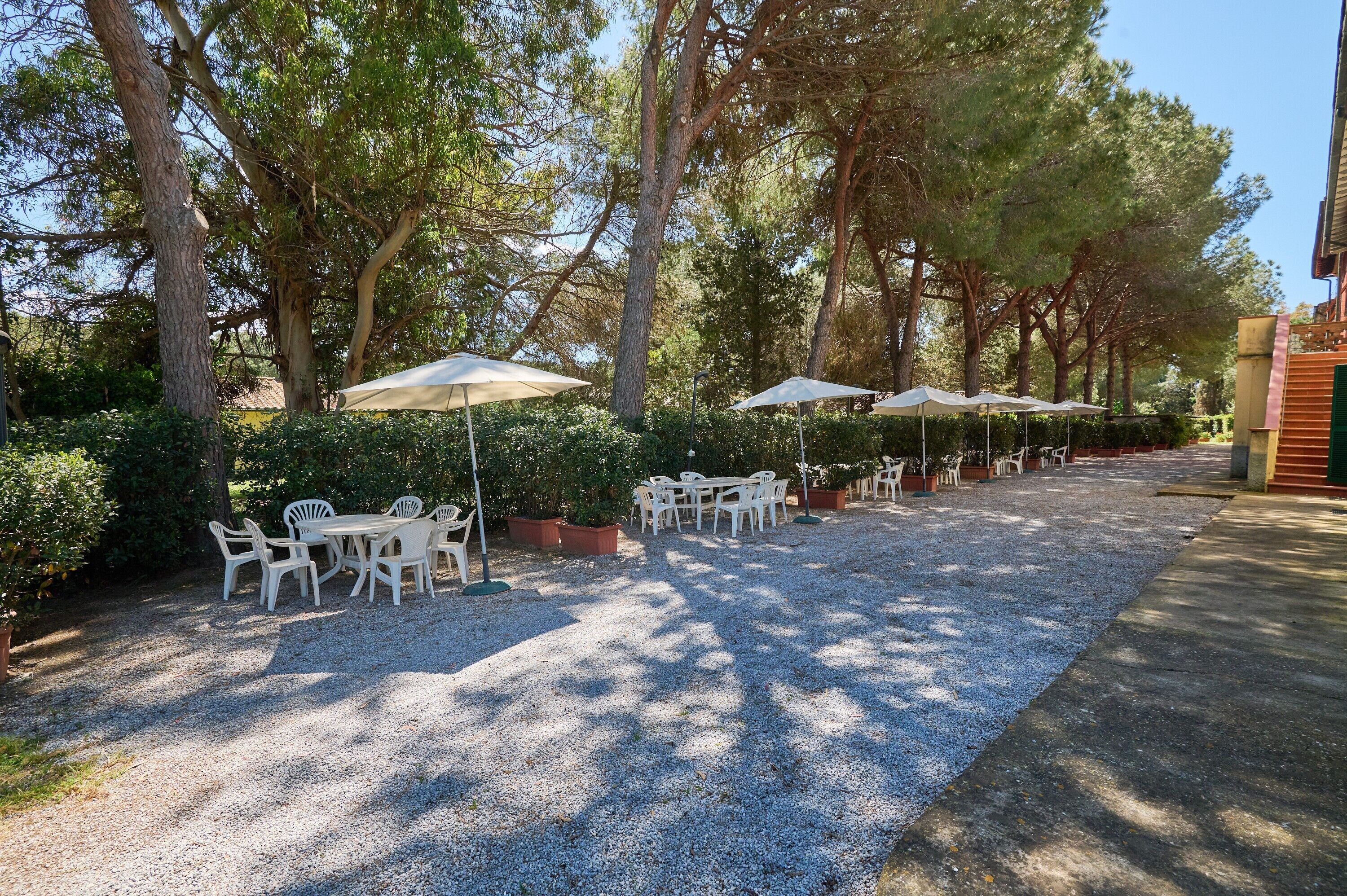 An outdoor patio with tables and chairs, surrounded by trees and covered by umbrellas.