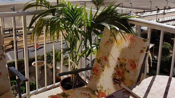 Ein Balkon mit Blick auf den Strand, ein Stoppschild und ein Blumenstuhl.