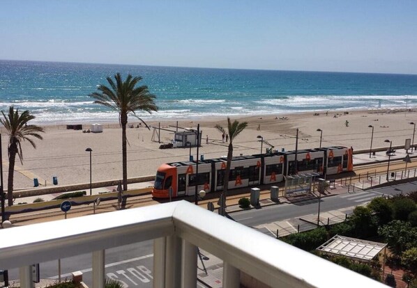 A beachside view with a tram, palm trees, and a clear sky.