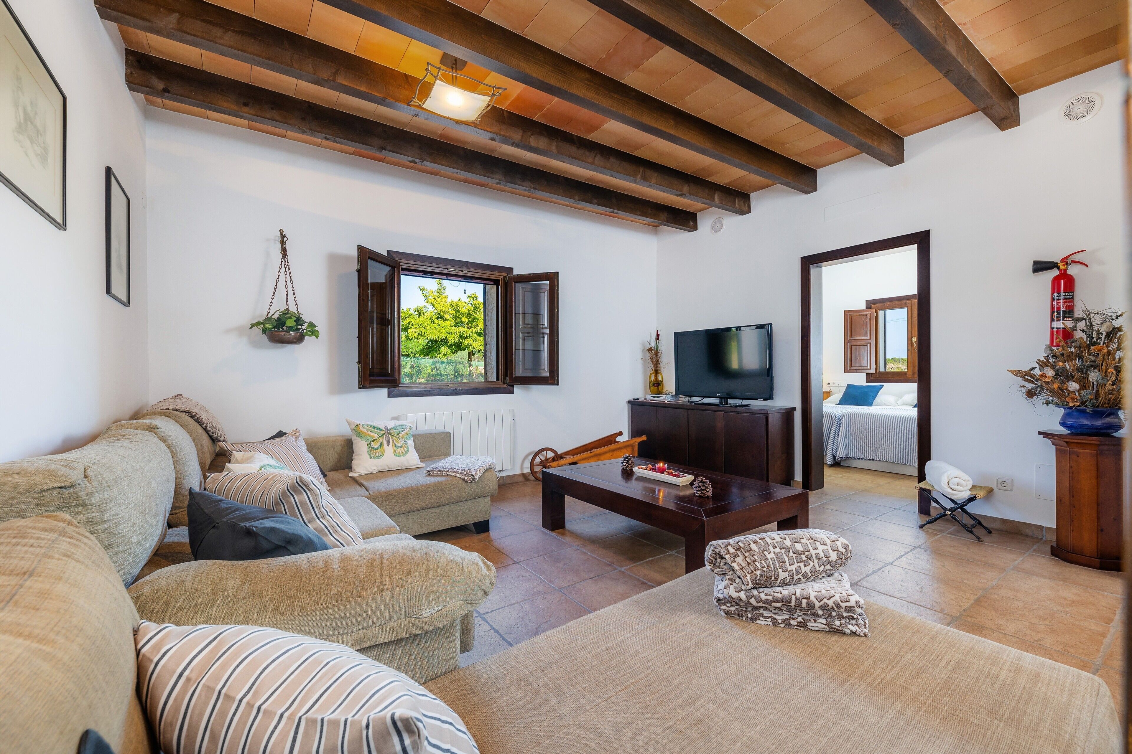 Fernseher, Tischtennisplatte