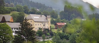 Holiday Apartment 'Ansitz Baumannhof Gotik' with Mountain View, Shared Garden and Wi-Fi