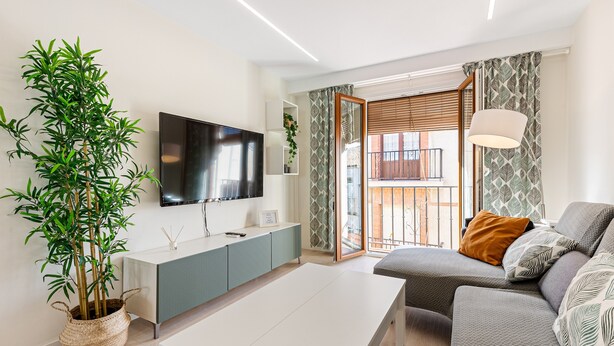 Un salón moderno con un televisor de pantalla plana, una planta grande en maceta, un sofá gris y una mesa de centro blanca.
