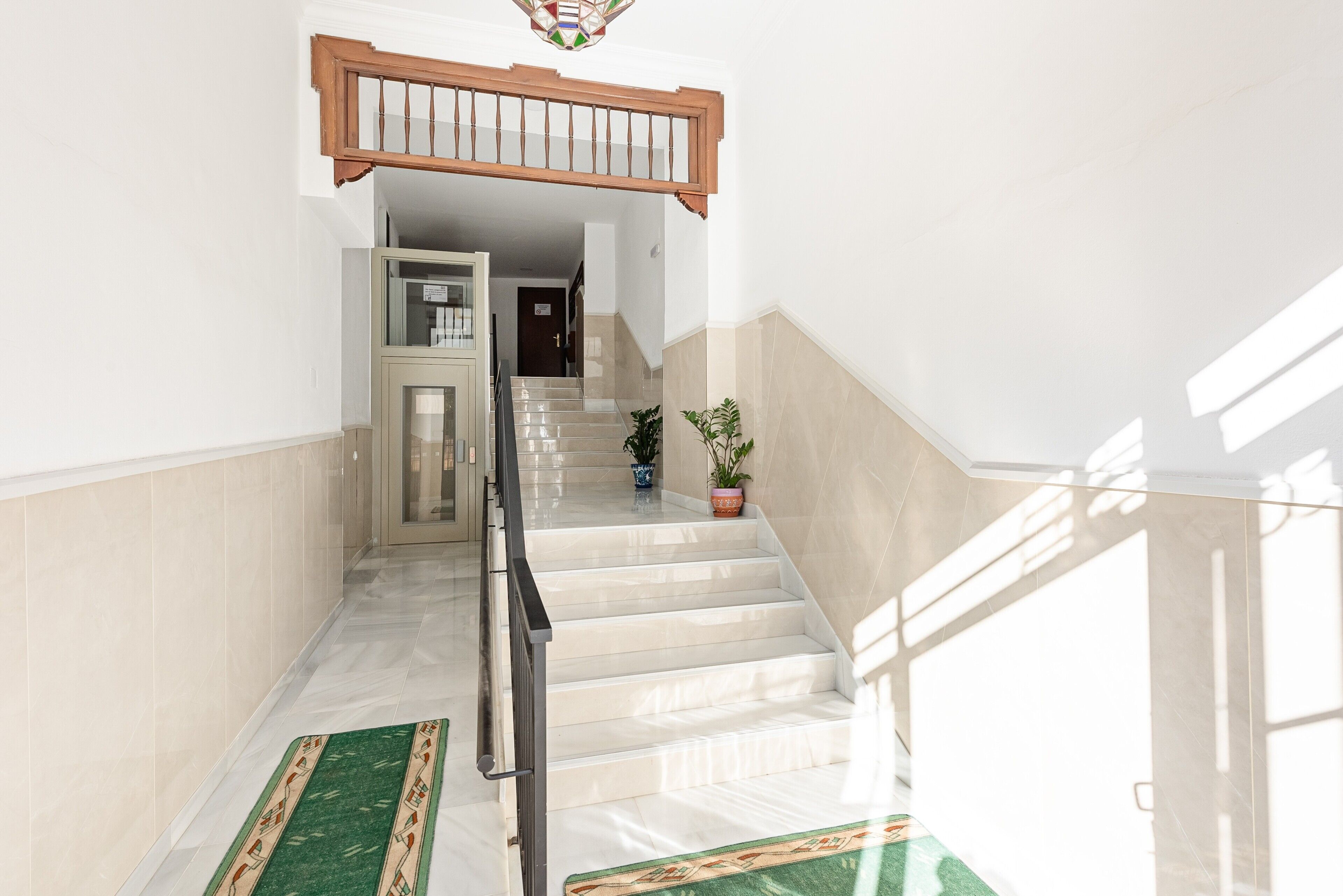A staircase with a wooden handrail, a glass door at the top, and a potted plant on the right.