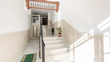A staircase with a wooden handrail, a glass door at the top, and a potted plant on the right.