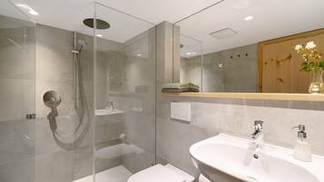 Regadera, secadora de cabello, toallas