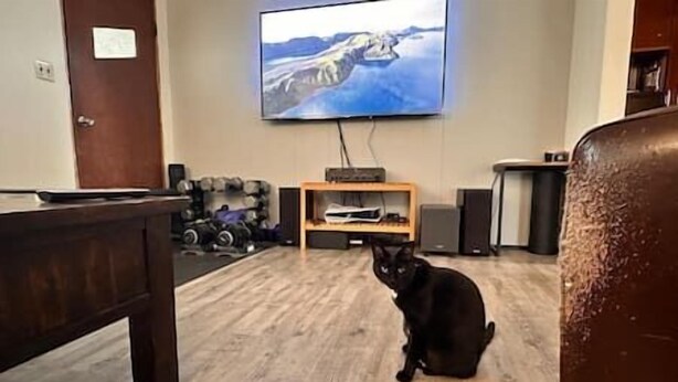A living room with a flat-screen TV mounted on the wall, a wooden coffee table, and a black cat sitting on the floor. - Puma's executive cat house! (Fernie)