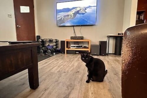 Puma's executive cat house!
