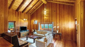 Pejs, videospil, stereoanlæg