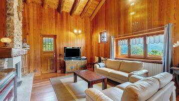 Fireplace, video games, stereo