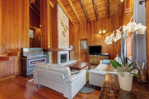 Fireplace, video games, stereo