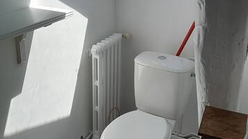 Shower, towels, toilet paper