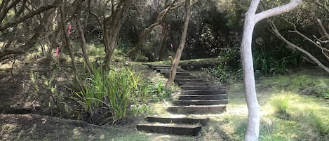 Un escalier en bois entouré d’un feuillage dense et d’arbres.