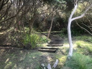 A wooden staircase surrounded by dense foliage and trees. - Pelican Views - Fairhaven (Fairhaven)