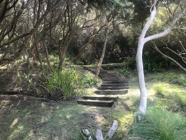 Una escalera de madera rodeada de follaje y árboles.
