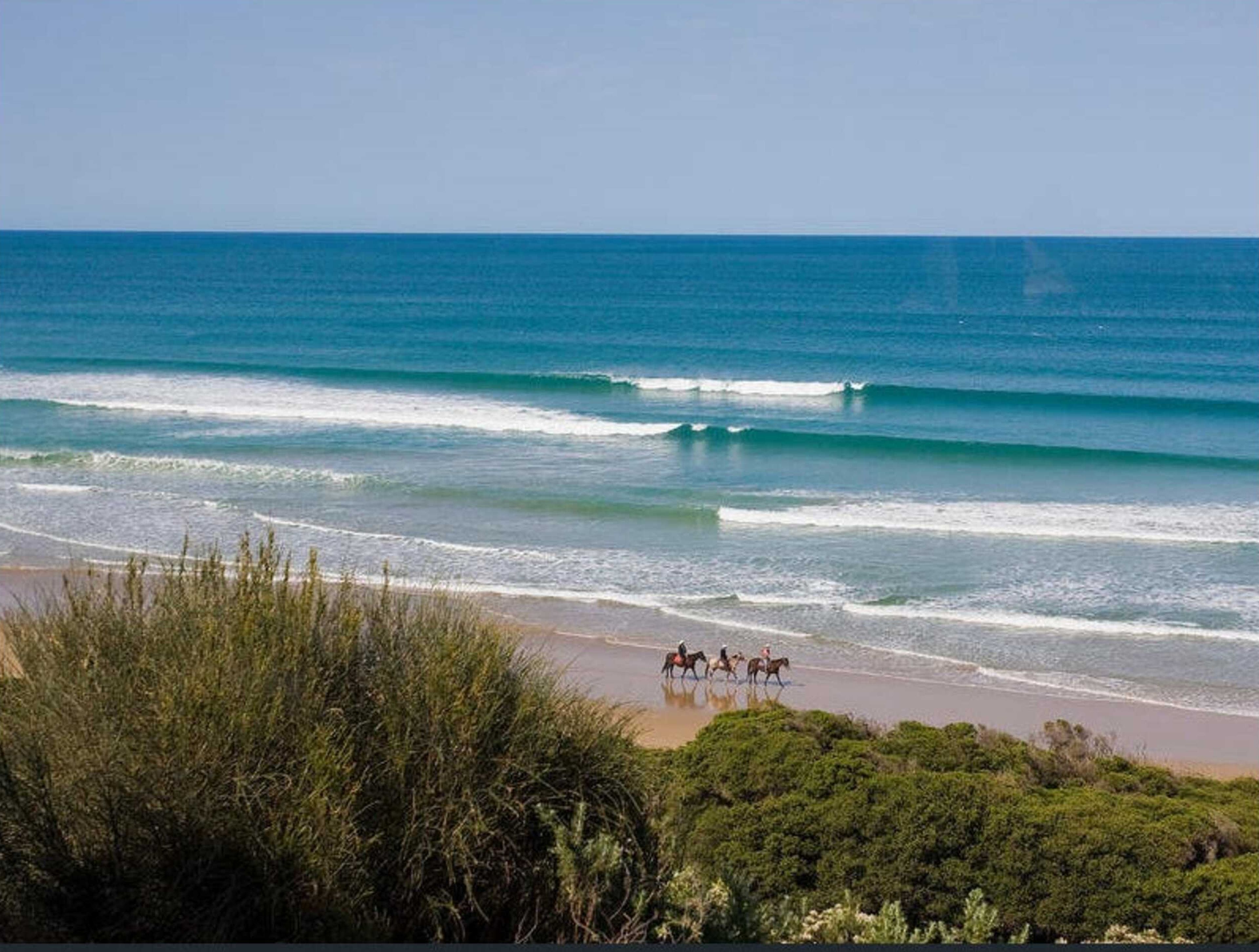 Una playa con olas y un grupo de personas a caballo.